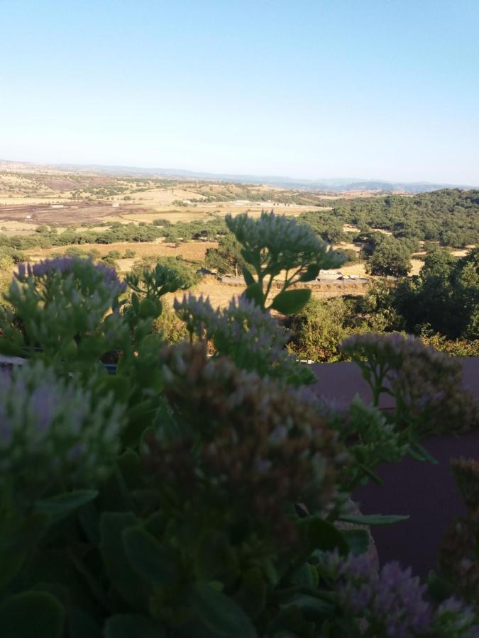 Belli Come Il Sole Serri Bagian luar foto
